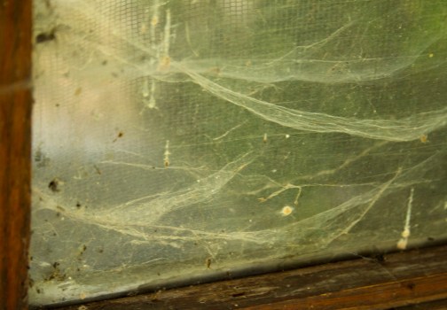 Caravan, Pfaffenhofen an der Glonn, 28.06.14